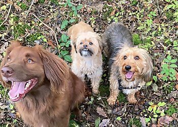 Charnwood Paws Dog Walking and Cat Sitting