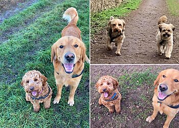 Charnwood Paws Dog Walking and Cat Sitting