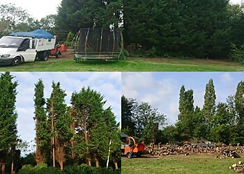 Chelmsford Tree Services Ltd