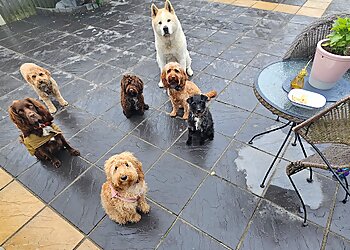 Cherished Pets of Brentwood