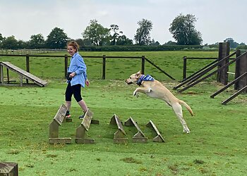 Cheshire Canine Services Real Dog Training