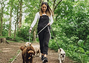 Cheshire Dog Lady