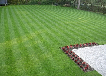 Cheshire Lawn Doctor