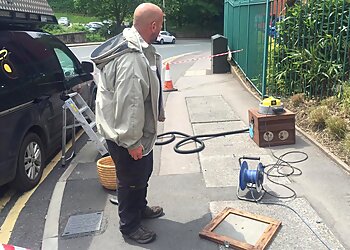 Cheshire Pest Solutions