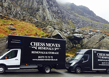 Chess Moves Removals & Storage