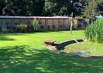 Chetwynd Firs Boarding Kennels & Cattery