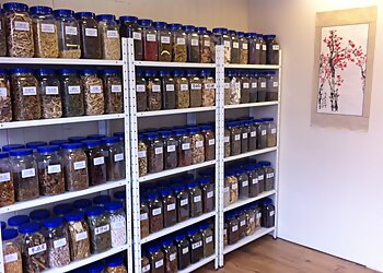 Chinese Medical Therapy