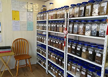 Chinese Medical Therapy