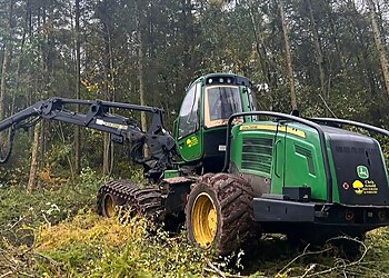 Chris Arnold Tree Surgery