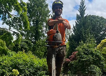 Chris Arnold Tree Surgery