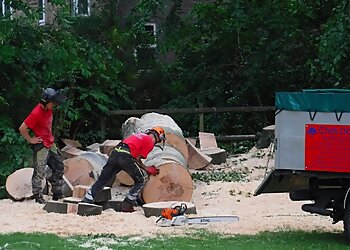 Chris Day Tree Services