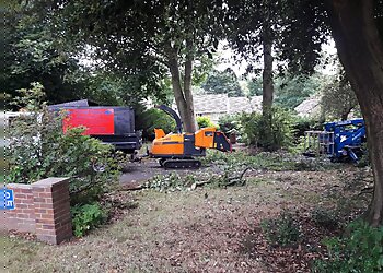 Chris Day Tree Services