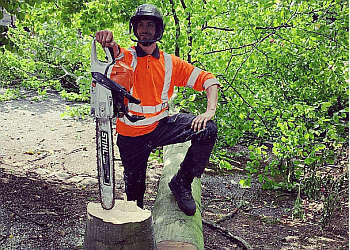 3 Best Tree Services in Doncaster, UK - Expert Recommendations