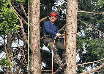 Chris Day Tree Services