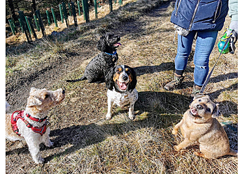 Chris's K9 Boarding & Walks