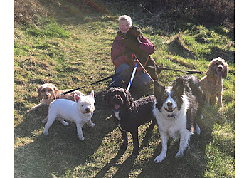 Chris's K9 Boarding & Walks