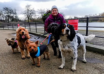 Chris's K9 Boarding & Walks Chris's K9 Boarding & Walks