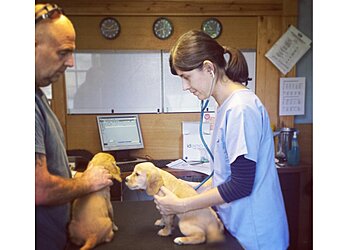 Church House Veterinary Clinic