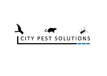 3 Best Pest Control in Glasgow, UK - Expert Recommendations