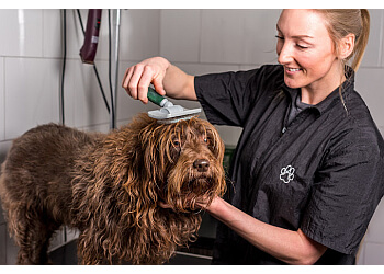 Claire's Dog Care