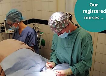 Clarendon House Veterinary Group Chelmsford