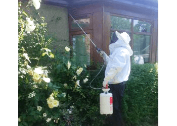 Clark Environmental Pest Control Services