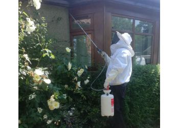 3 Best Pest Control in West Lothian, UK - Expert ...