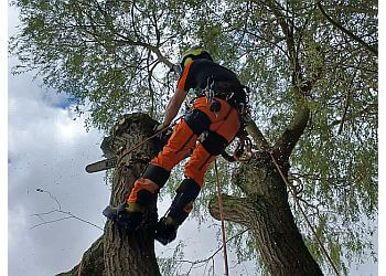 Clarkes Tree Services