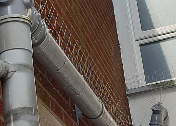 Clear Choice Pest Control