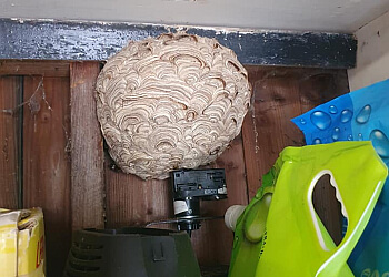 Clear Choice Pest Control