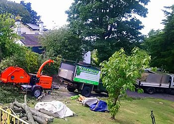 Clear View Tree and Hedge Services Ltd.