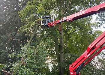 Clee Tree Services