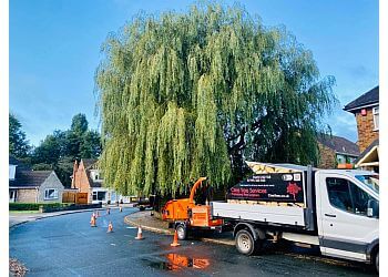 Clee Tree Services