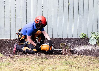 Cleveland Garden and Tree Care