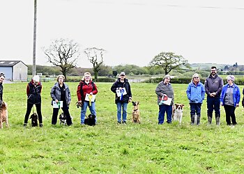 Carmarthenshire dog trainers Clickstart Dog Training image 1