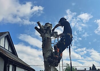 Climb-it Tree Care
