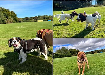 Club Fetch Newcastle