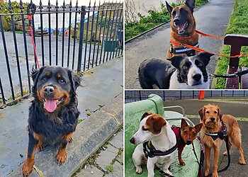 Coastal Dog Walkers