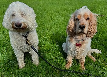 Cocopops Pet Services