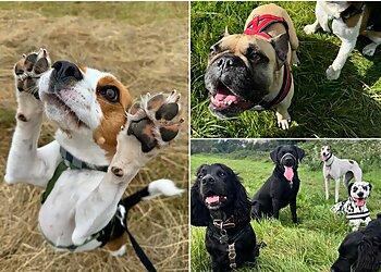 Cocopops Pet Services