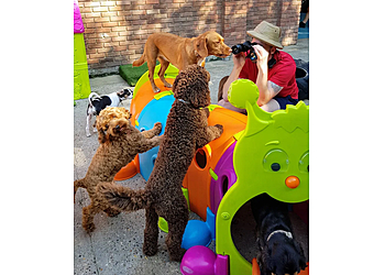 Colchester Canine Creche