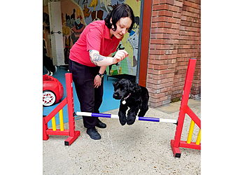 Colchester Canine Creche