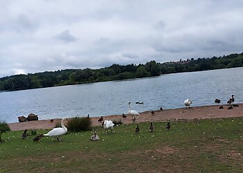 Colwick Country Park