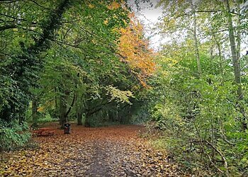 Nottingham parks Colwick Country Park image 1