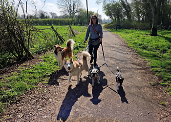 Comfy Paws Canine Care