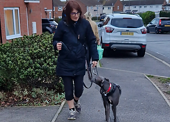 Comfy Paws Canine Care