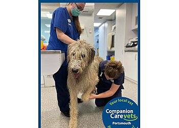 Companion Care Vets Portsmouth