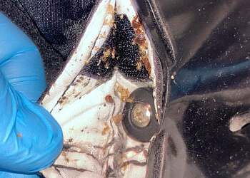 Complete Pest Control Services Ltd.