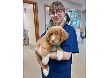 Connaught House Vets