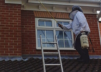 Control Solutions Pest Control, Ltd.